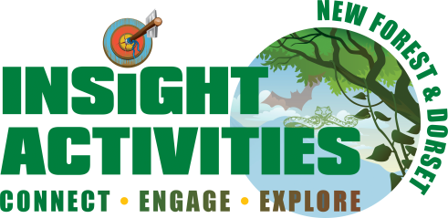 Insight Activities