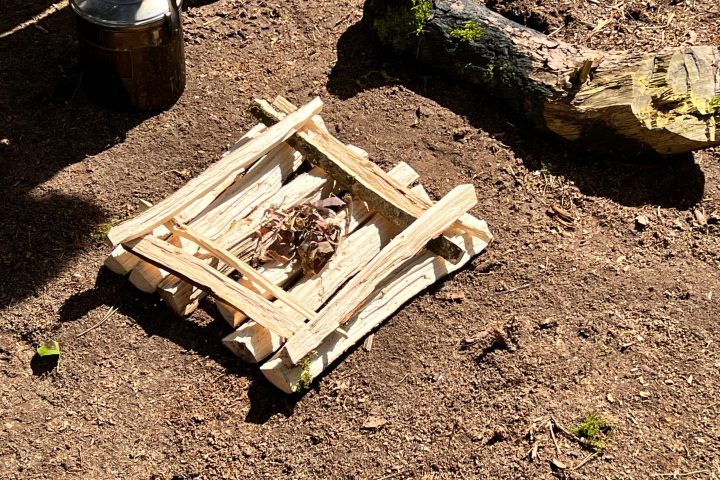 New Forest Bushcraft Firelighting and Craft