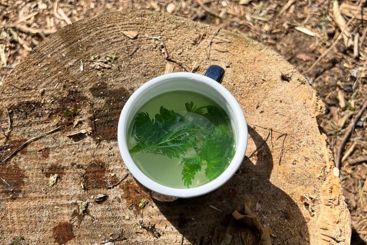 New Forest Bushcraft Firelighting and Craft