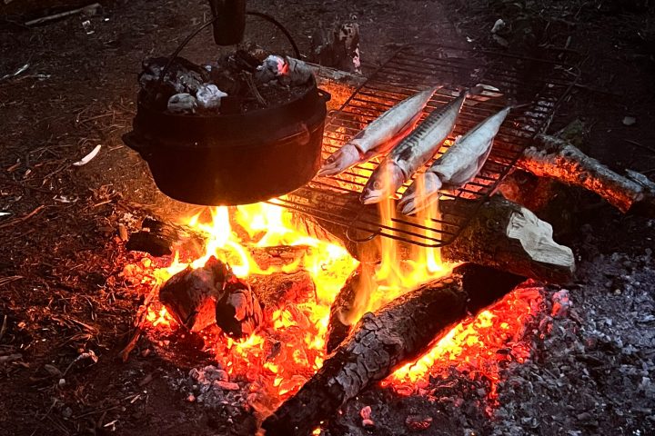 New Forest Bushcraft Firelighting and Craft