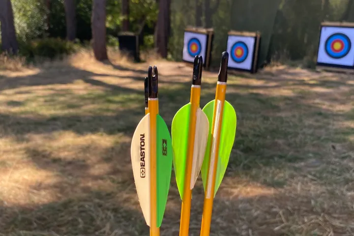 archery range - arrows and targets