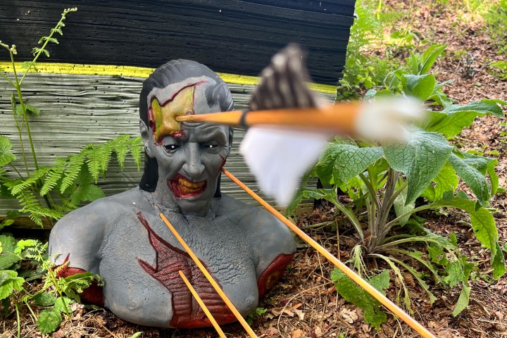 a bird sitting on grass