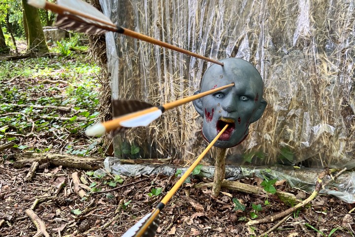 a person holding a baseball bat on a field