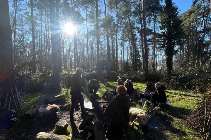 a herd of cattle standing on top of a tree