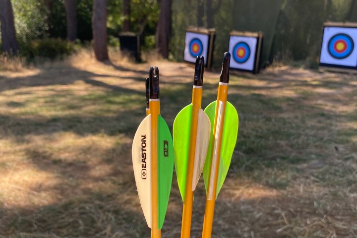 archery range - arrows and targets