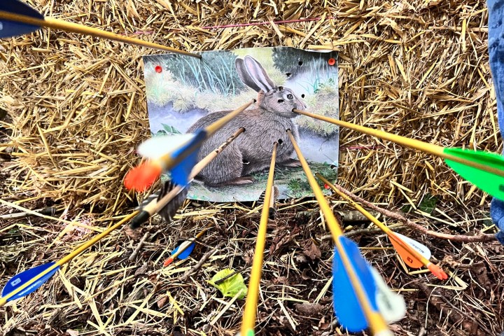 Archery in Dorset