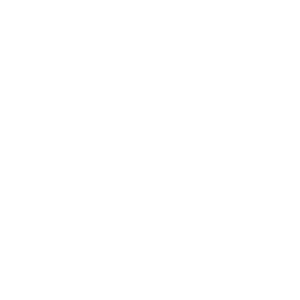 AXE THROWING icon