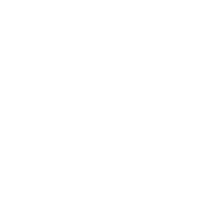 BUSHCRAFT icon